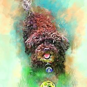 Meet your Posher, Lisa